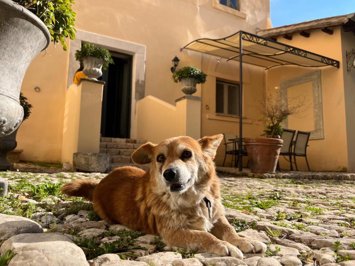 Cori Agriturismo Castello Santa Margherita מראה חיצוני תמונה
